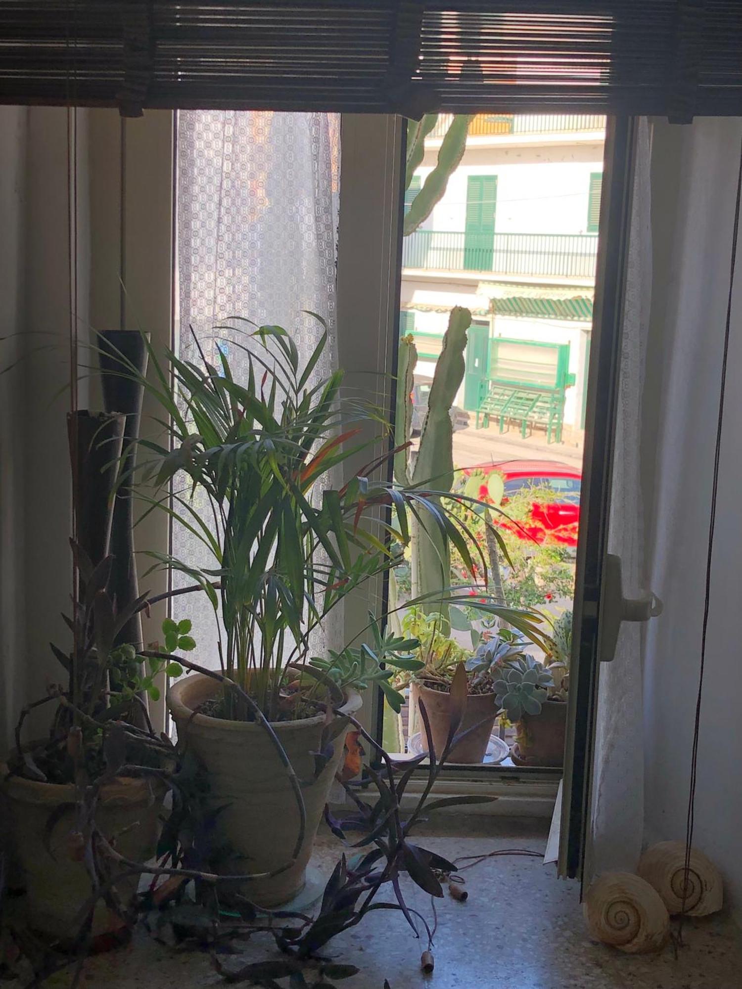 Le Muse Casa Vacanze Scoglitti Δωμάτιο φωτογραφία